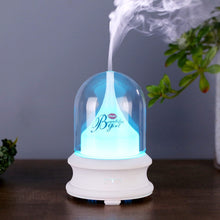 Load image into Gallery viewer, 100ML Air Humidifier