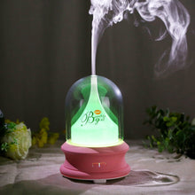 Load image into Gallery viewer, 100ML Air Humidifier