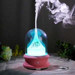 100ML Air Humidifier