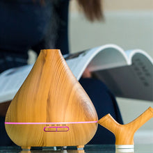 Load image into Gallery viewer, 2 Mist Humidifier