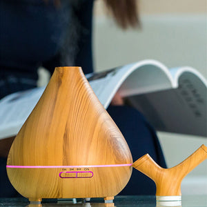 2 Mist Humidifier