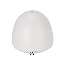 Load image into Gallery viewer, 100ml Humidifier
