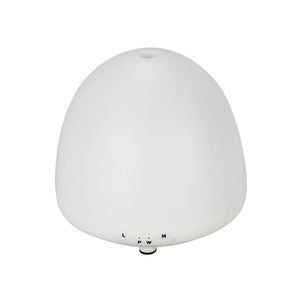 100ml Humidifier