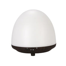 Load image into Gallery viewer, 100ml Humidifier