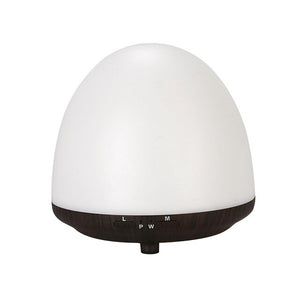 100ml Humidifier