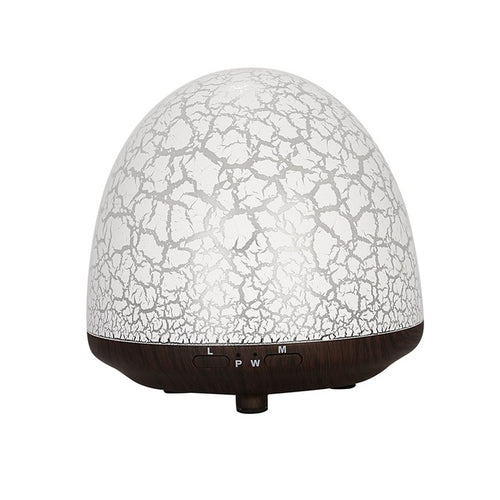 100ml Humidifier